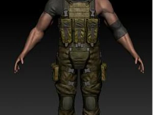 anatomy version 3D Model