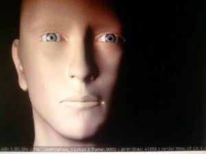 volto dell'uomo Modello 3D