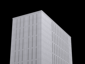 perspective house15 3D Model