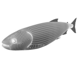 sake fish 3D Model