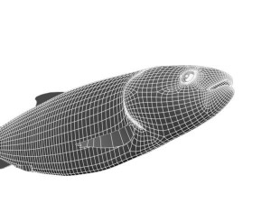 sake fish 3D Model