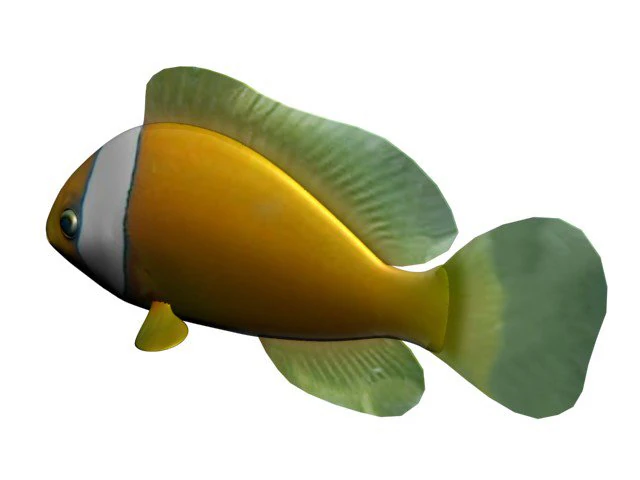 kumanomi fish 3D Model .c4d .max .obj .3ds .fbx .stl .blend 