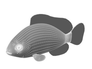 kumanomi fish Modèle 3D