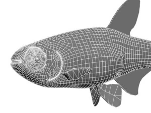 blueneon fish 3D Model