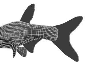 blueneon fish 3D Model