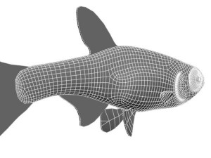 blueneon fish 3D Model
