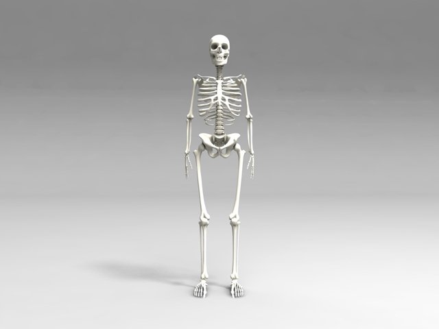 skull Modello 3D .c4d .max .obj .3ds .fbx .stl .blend