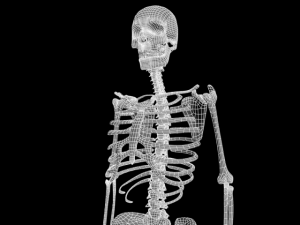 skull Modello 3D