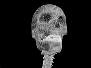 skull Modello 3D
