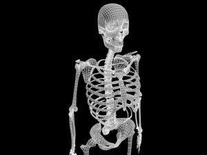 skull Modello 3D
