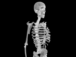 skull Modello 3D
