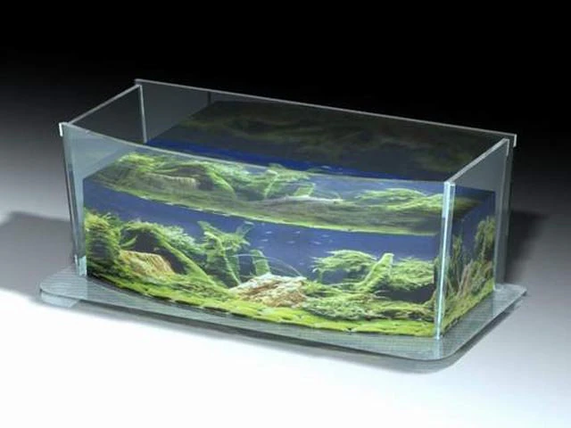 box wtank02 3D Model .c4d .max .obj .3ds .fbx .stl .blend 