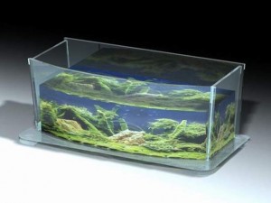 box wtank02 3D 모델