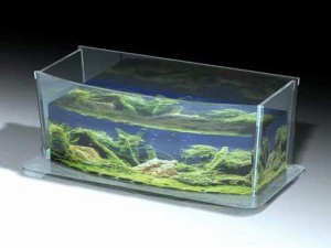 doos wtank02 3D Model