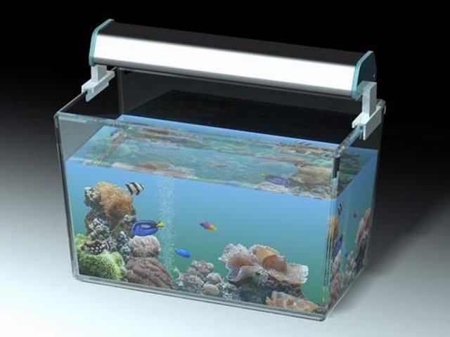 3d модель аквариума. Текстура крышки аквариума для 3 ДС Макс.