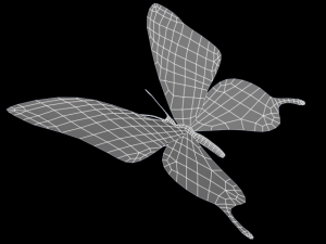 ageha 3D Model