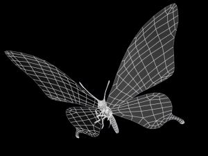 ageha 3D Model