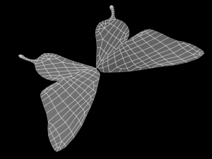 ageha 3D Model