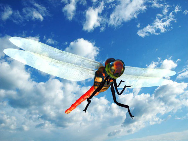 akatonbo Modello 3D .c4d .max .obj .3ds .fbx .stl .blend 