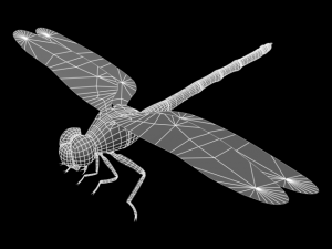 akatonbo 3D Model