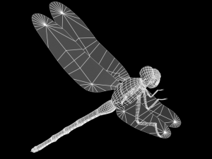 akatonbo 3D Model