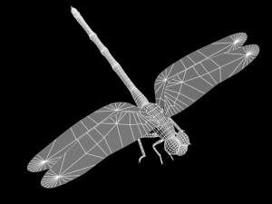 akatonbo 3D Model