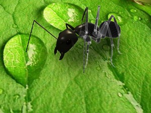 ant 3D Model