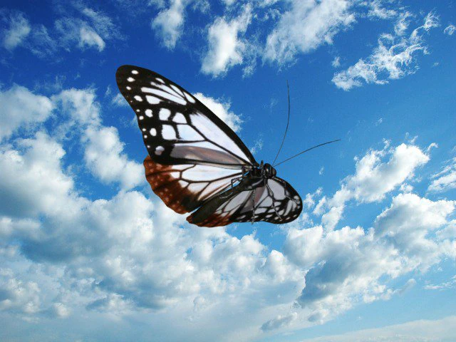 asagi 3D Model .c4d .max .obj .3ds .fbx .stl .blend