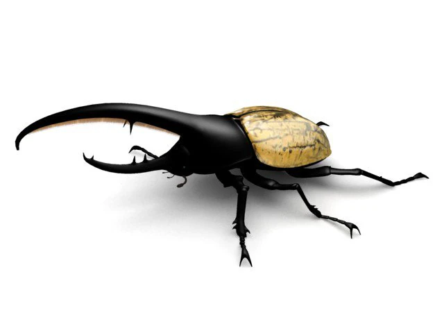 hercules 3D Model .c4d .max .obj .3ds .fbx .stl .blend 