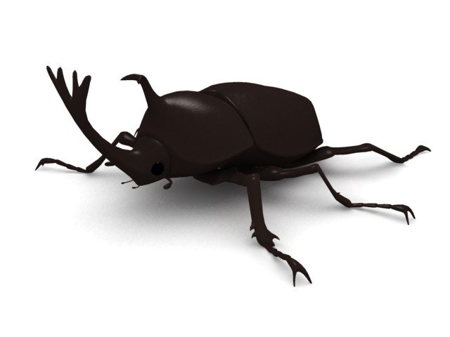 kabutomushi Modèle 3D .c4d .max .obj .3ds .fbx .stl .blend 