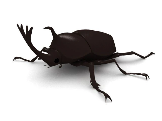 kabutomushi Modelo 3D .c4d .max .obj .3ds .fbx .stl .blend 