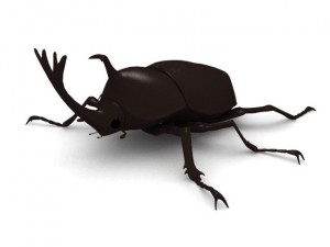kabutomushi Modèle 3D