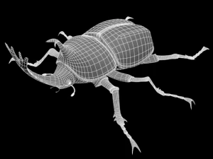 kabutomushi Modelo 3D