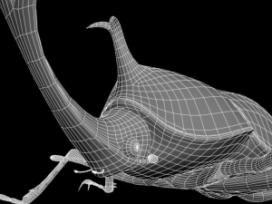 kabutomushi Modelo 3D