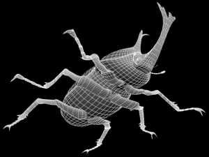 kabutomushi Modelo 3D