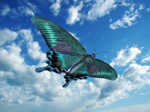 karasuageha Modèle 3D