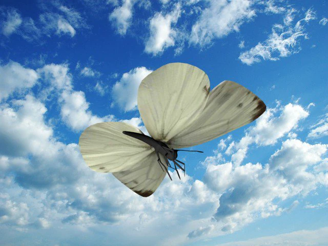 monshiro Model 3D .c4d .max .obj .3ds .fbx .stl .blend