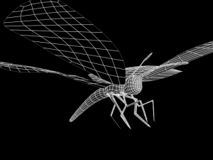 monshiro 3D 모델