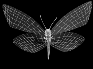 monshiro 3D 모델