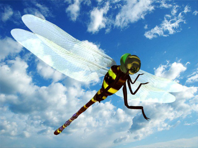 oniyanma Model 3D .c4d .max .obj .3ds .fbx .stl .blend 