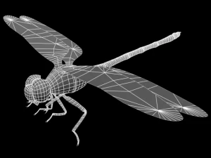 oniyanma 3D Model