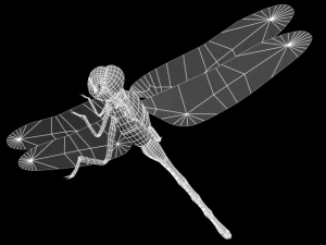 oniyanma 3D Model