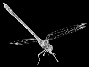 oniyanma Model 3D