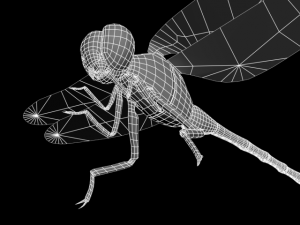 oniyanma Model 3D