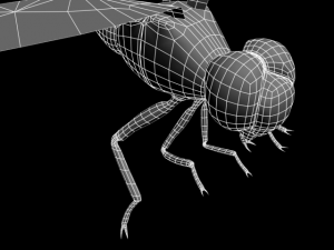 oniyanma Model 3D