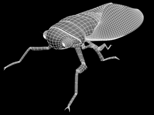 semi Modelo 3D