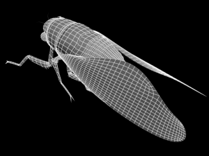 semi Modelo 3D