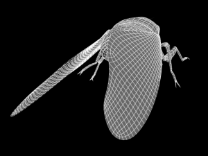 semi Modelo 3D