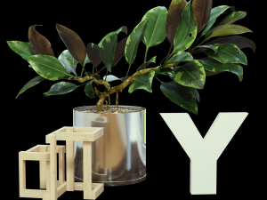 ficus Model 3D