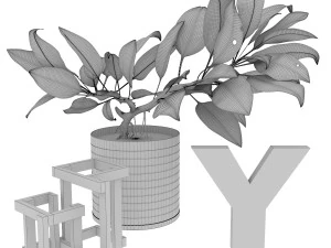 ficus 3D Model